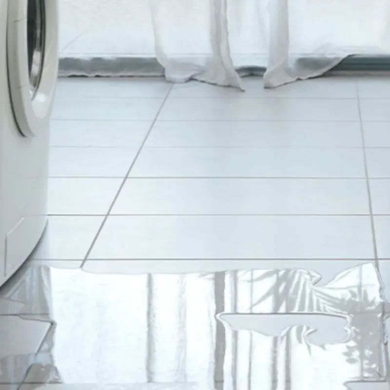 Appliance Leak Cleanup in Brenham, TX