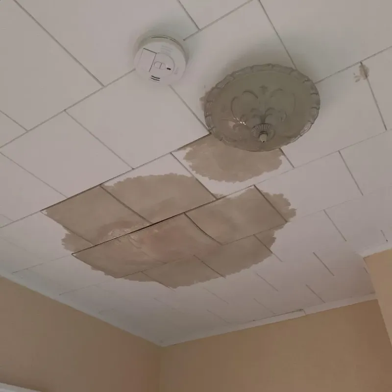 Ceiling Water Damage Repair in Brenham, TX