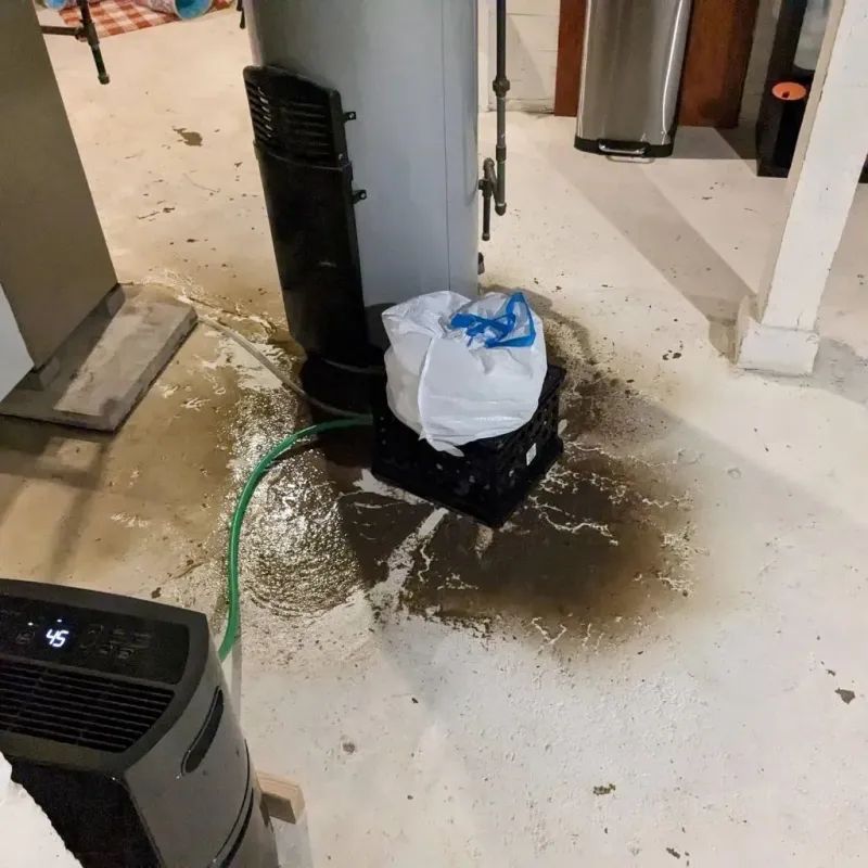 Sewage Backup Cleanup Service in Brenham, TX